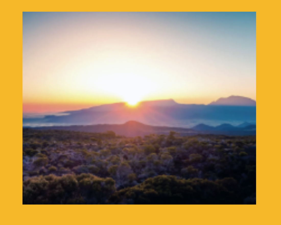 Vitamin D: The sunshine vitamin that can melt our cravings as well as our fat!